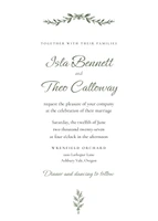 Olive Grove invitation, layout 2