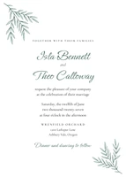 Olive Grove invitation in the Eucalyptus palette